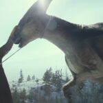 Jurassic World: Világuralom - magyar nyelvű előzetes